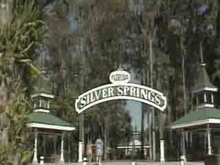  Florida:  アメリカ合衆国:  
 
 Silver Springs